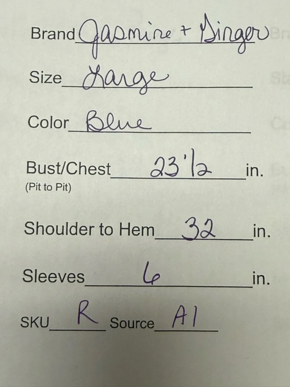 Jasmine Ginger Blue Embroidered Beach Button Shirt Tropical Top Large - Picture 11 of 11